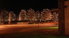 Christmas-lights-Beauty