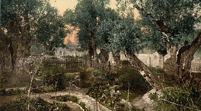 Garden of Gethsemane