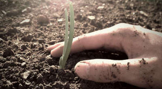 The soil is fertile around you, pastor. Here's how to recognize where to plant.