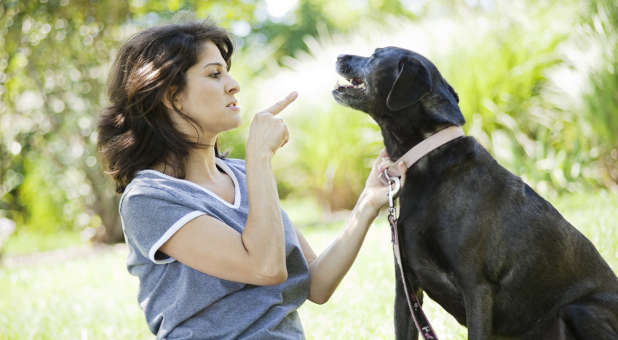 Woman disciplining dog