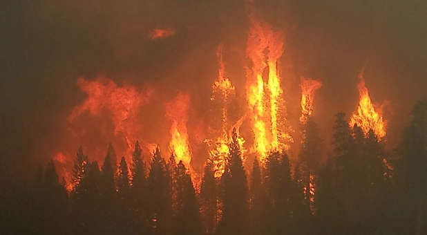 There are many economic forest fires around the world these days simply primed to become forest fires.