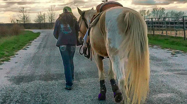 Will this horse drink when led to water?