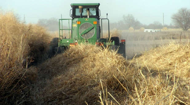 Harvest