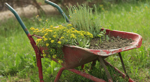 Wheelbarrow